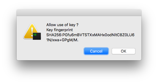 Prompt to authorize the use of the ssh-key